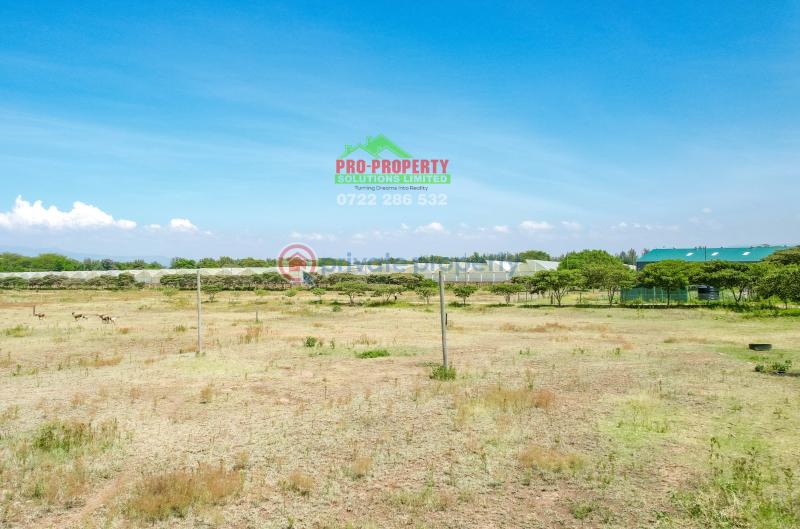 Residential Land For Sale Near Enashipai moi South Lake Road Naivasha East Nakuru - 5