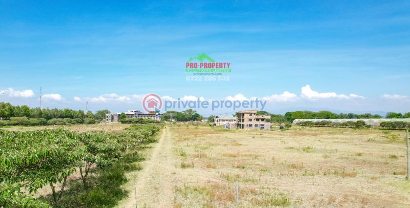 Residential Land For Sale Near Enashipai moi South Lake Road Naivasha East Nakuru - 2