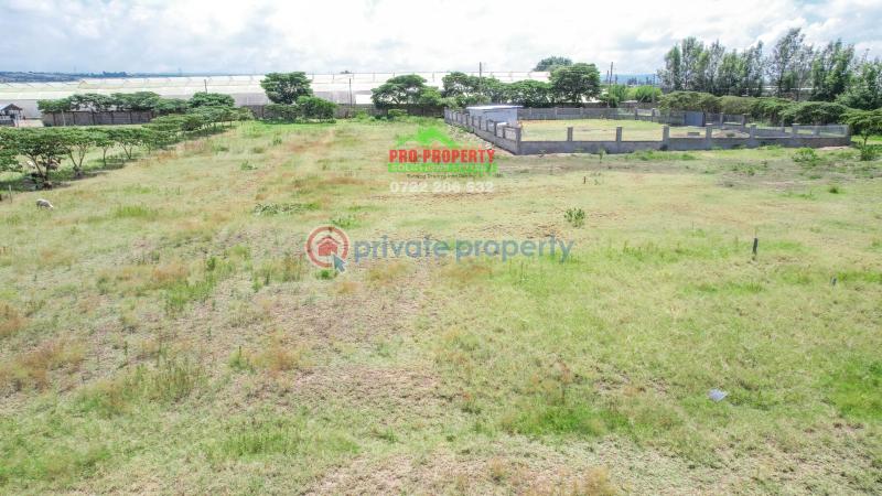 Residential Land For Sale Near Enashipai moi South Lake Road Naivasha East Nakuru - 11