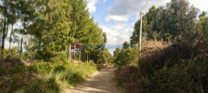 Commercial Land For Sale Nanyuki Laikipia - 3