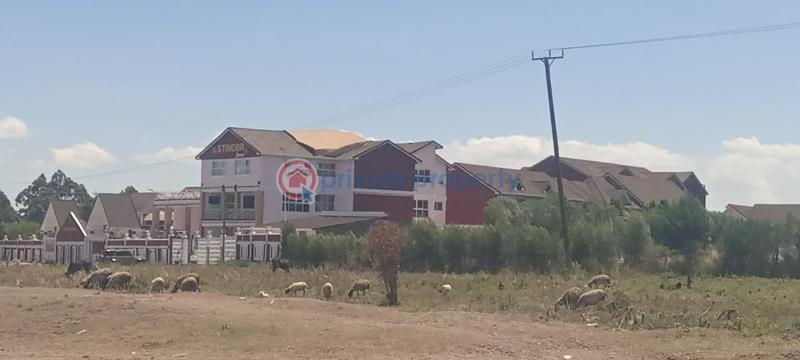 Land For Sale Nanyuki Laikipia - 3