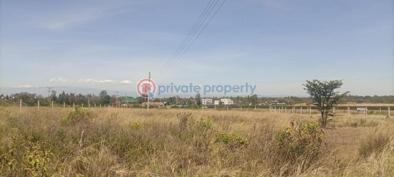 Land For Sale Nanyuki Laikipia - 4