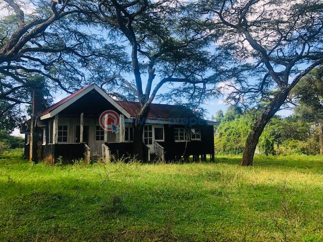 Commercial Land For Sale Nanyuki/ Meru Nanyuki Laikipia - 4