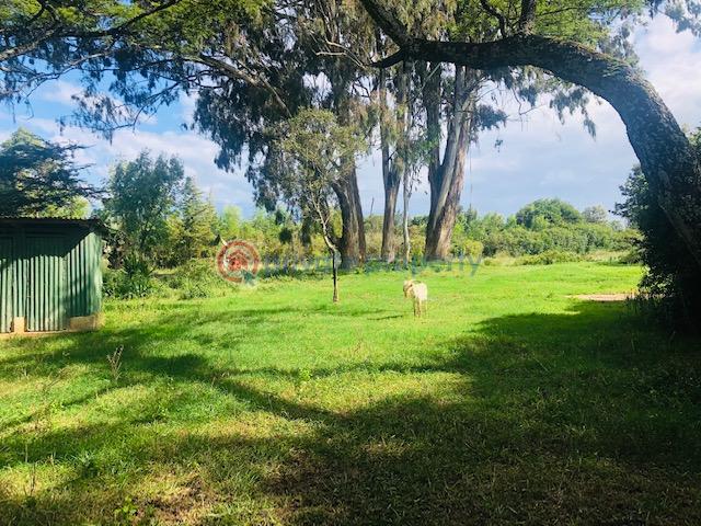 Commercial Land For Sale Nanyuki/ Meru Nanyuki Laikipia - 7