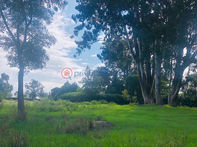 Commercial Land For Sale Nanyuki/ Meru Nanyuki Laikipia - 5