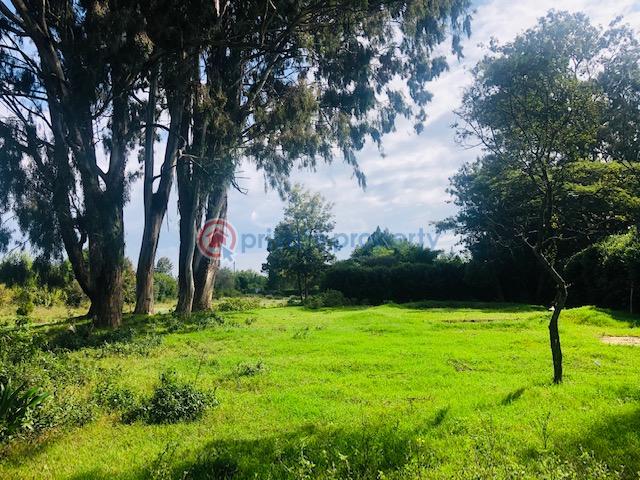 Commercial Land For Sale Nanyuki/ Meru Nanyuki Laikipia - 6