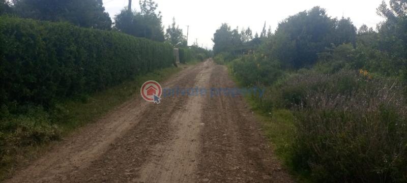 Commercial Property For Sale Nanyuki Laikipia - 0
