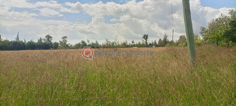 Commercial Property For Sale Nanyuki Laikipia - 3