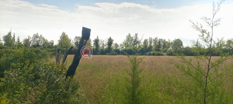 Commercial Property For Sale Nanyuki Laikipia - 4