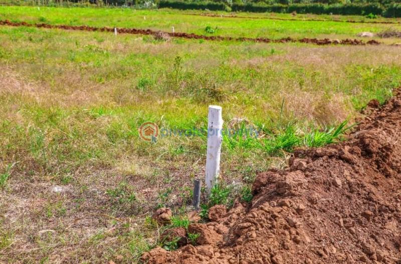 Residential Land For Sale Hills View Estate Phase 2 Thigio Kikuyu Kiambu - 16