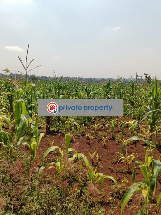 Mixed use Land For Sale &nbsp;old Muranga Road Thika Kiambu - 1