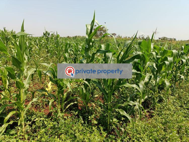 Mixed use Land For Sale &nbsp;old Muranga Road Thika Kiambu - 2