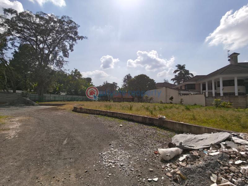 4 bedroom Townhouse For Rent Old Muthaiga, Nairobi | Executive Residence For Rent Old Muthaiga Nairobi - 12