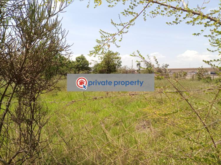 Mixed use Land For Sale &nbsp;ruiru Kamakis Ruiru Kiambu - 4