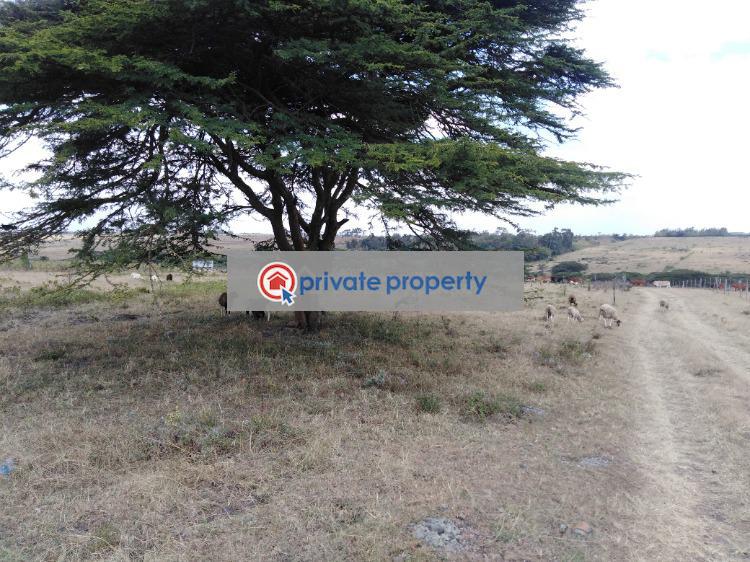 Mixed use Land For Sale &nbsp;kiserian Ngong Kajiado - 6