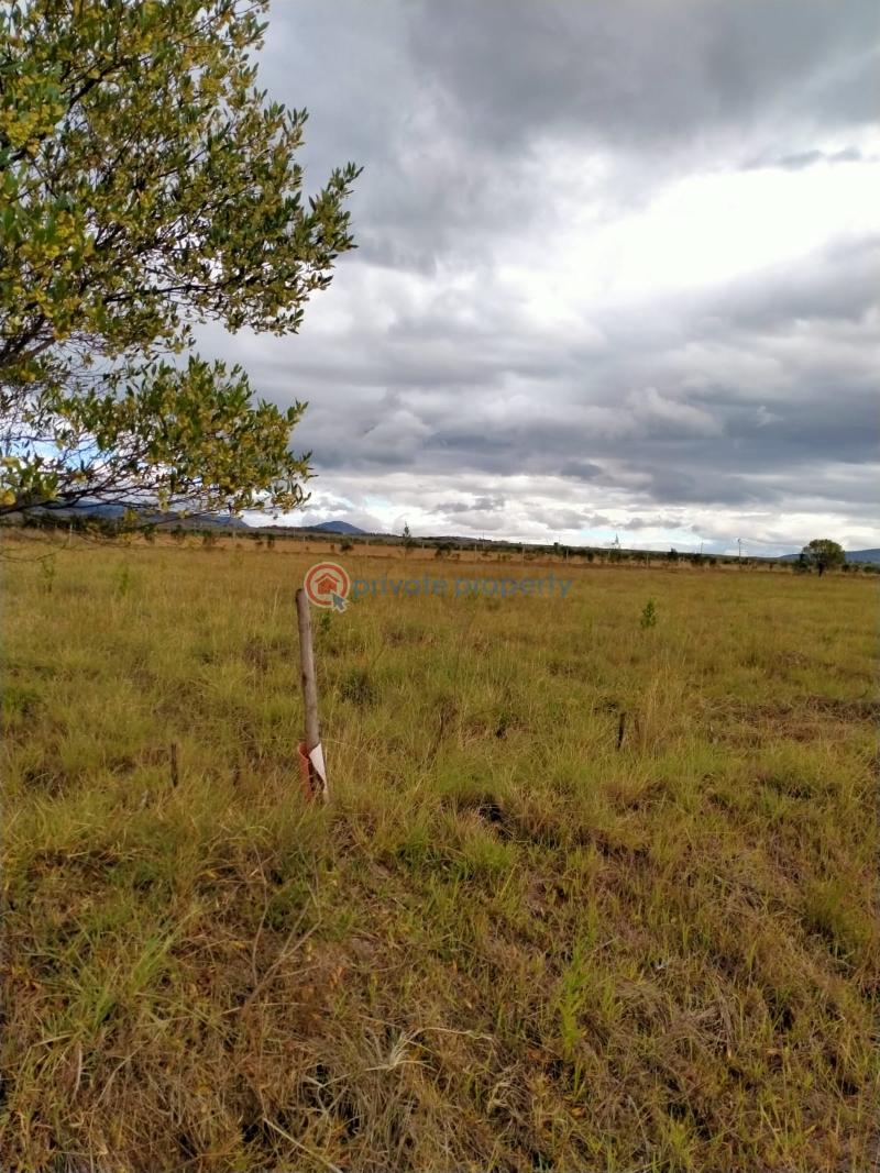 Land For Sale Naivasha Moi South Lake Road moi South Lake Road Naivasha East Nakuru - 4