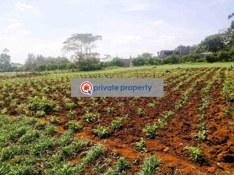 Mixed use Land For Sale &nbsp;kibiko Ngong Kajiado - 4