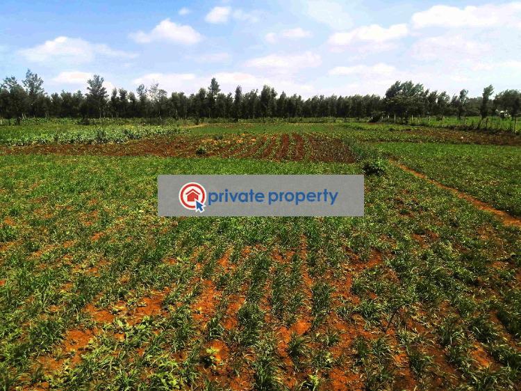 Mixed use Land For Sale &nbsp;kibiko Ngong Kajiado - 1