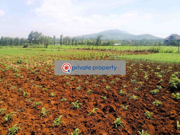 Mixed use Land For Sale &nbsp;kibiko Ngong Kajiado - 3