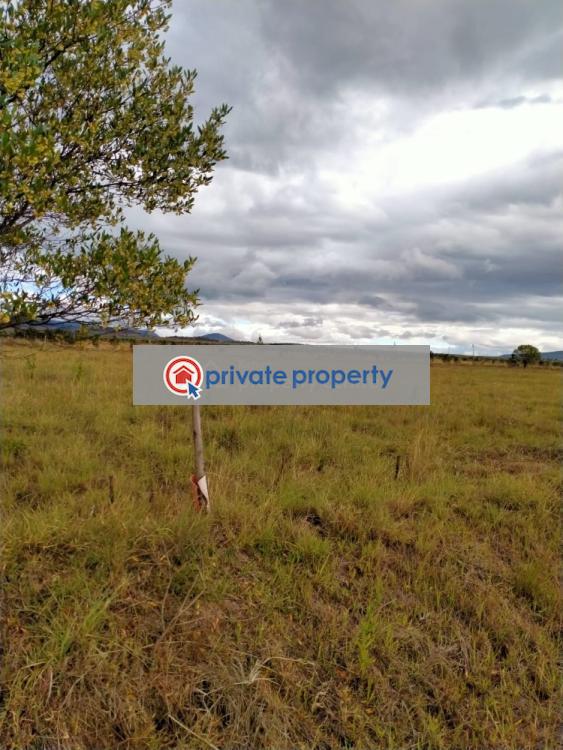 Mixed use Land For Sale &nbsp;kedong Ranch Naivasha East Nakuru - 5