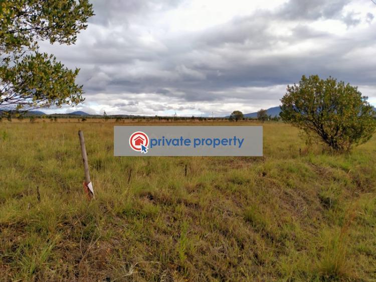 Mixed use Land For Sale &nbsp;kedong Ranch Naivasha East Nakuru - 4
