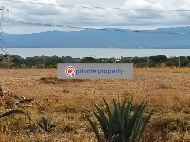 Mixed use Land For Sale &nbsp;kedong Ranch Naivasha East Nakuru - 1