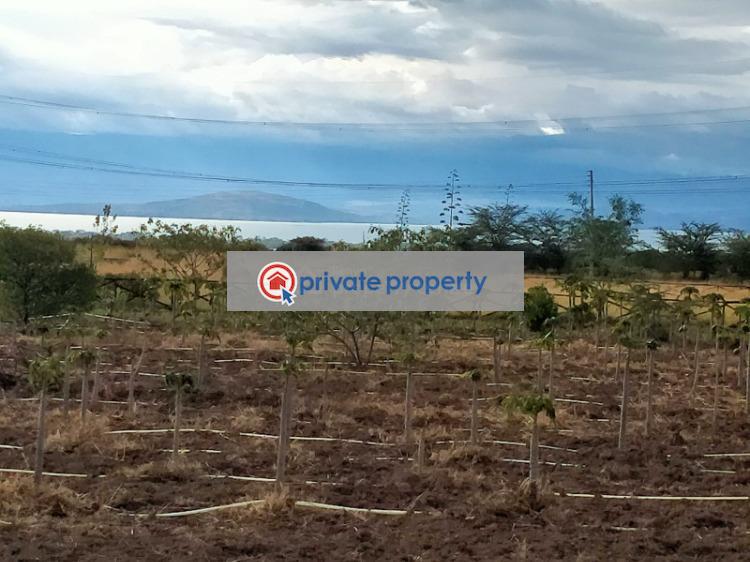 Mixed use Land For Sale &nbsp;kedong Ranch Naivasha East Nakuru - 2