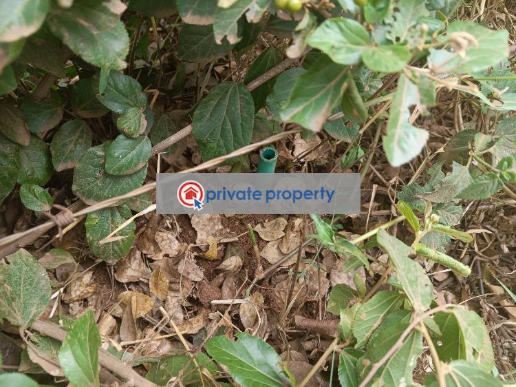 Residential Land For Sale &nbsp;ha. Thiru Gikambura Kikuyu Kiambu - 8