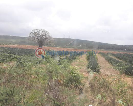 Land For Sale Mombasa Malindi High Way Mtepeni Kilifi - 10