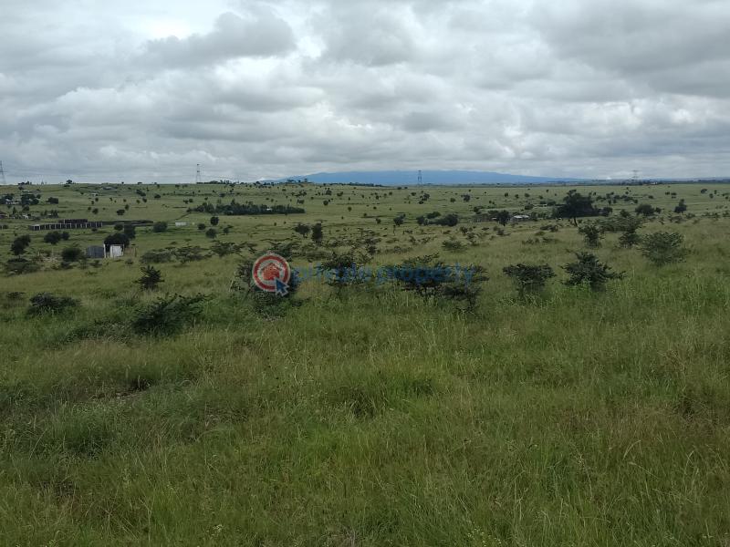 Land For Sale Oloika International School Acacia Feeder Road Kitengela Kajiado - 6
