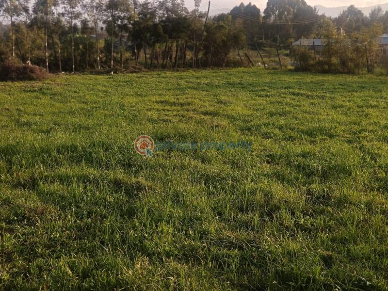 Land For Sale Ngong Kajiado - 2