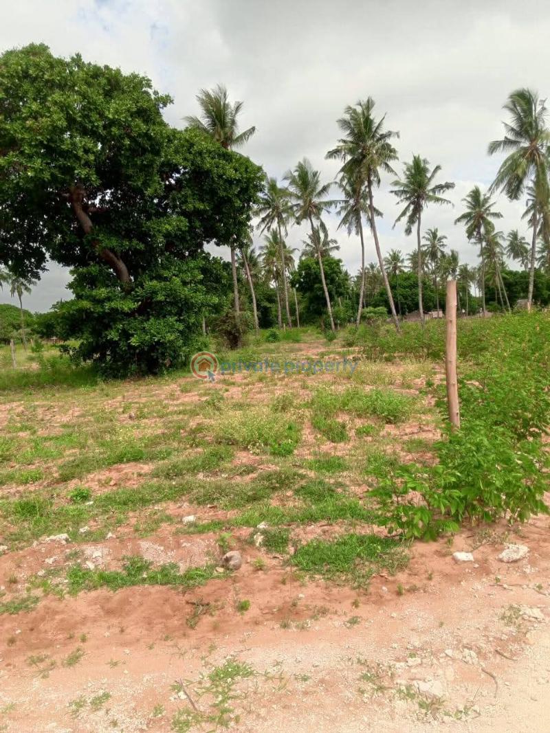 Land For Sale Kilifi ,matsangoni Matsangoni Kilifi - 4