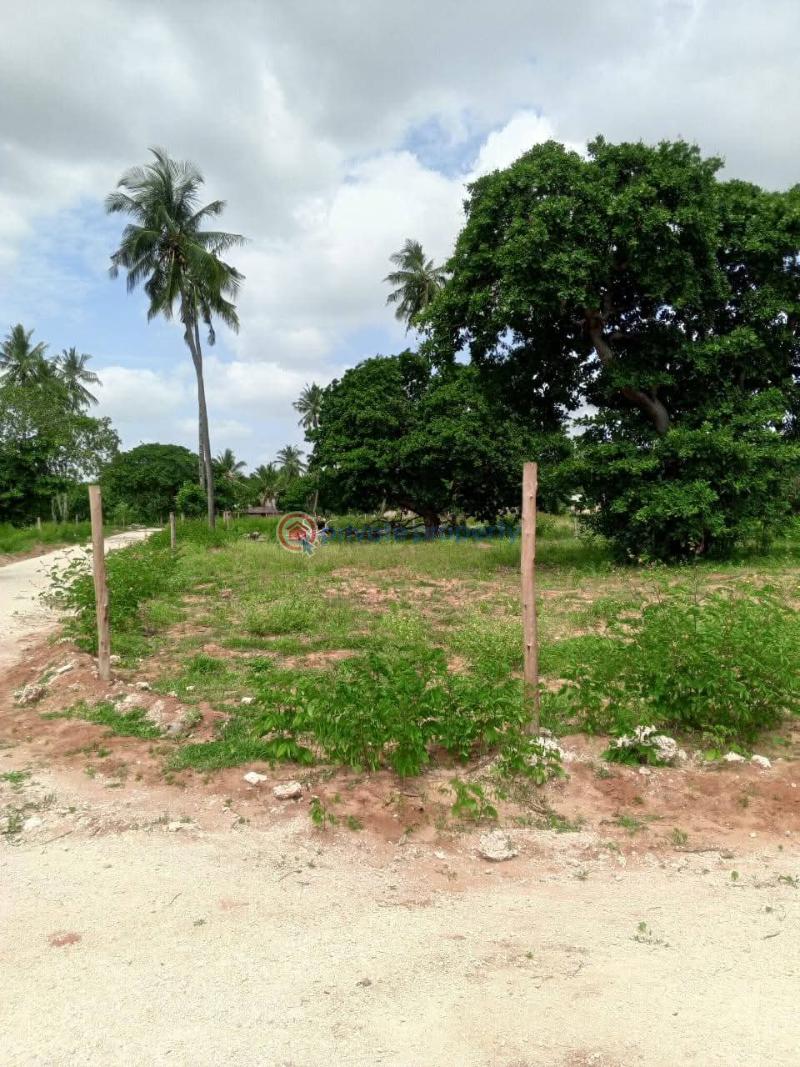 Land For Sale Kilifi ,matsangoni Matsangoni Kilifi - 5