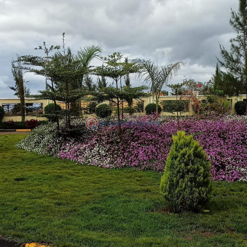 Residential Land For Sale Tatu City Ruiru Kiambu - 4