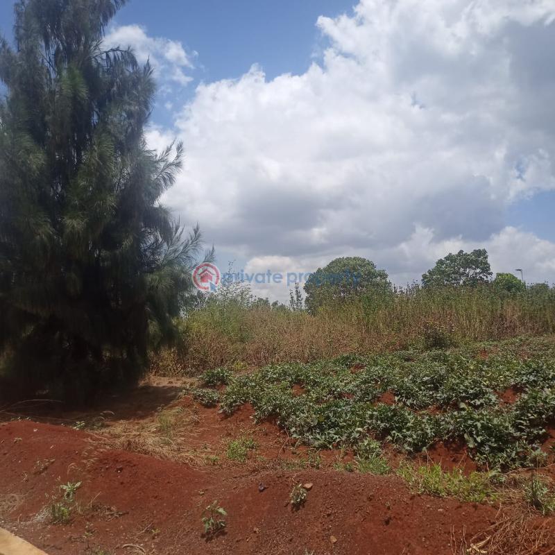 Residential Land For Sale Tatu City Ruiru Kiambu - 5