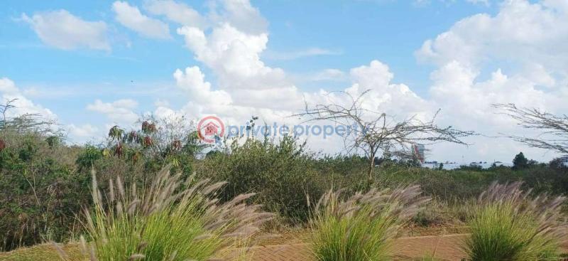 Land For Sale Tatu City Ruiru Kiambu - 14