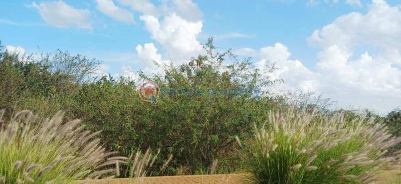 Land For Sale Tatu City Ruiru Kiambu - 8