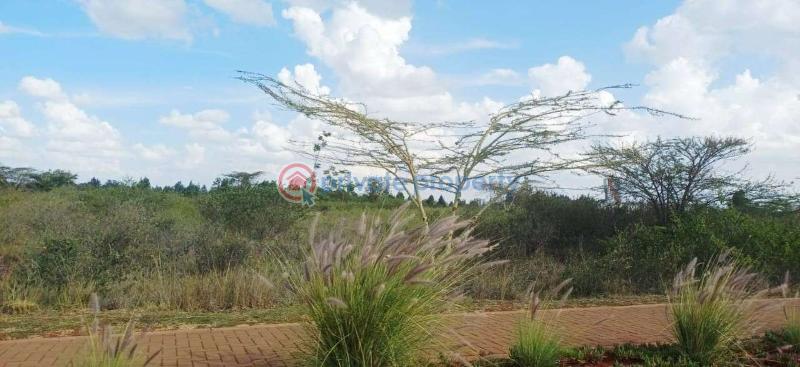 Land For Sale Tatu City Ruiru Kiambu - 9