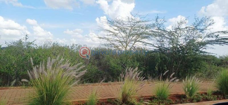 Land For Sale Tatu City Ruiru Kiambu - 4