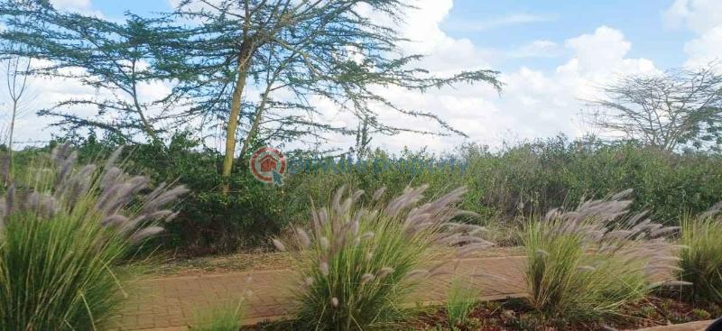 Land For Sale Tatu City Ruiru Kiambu - 5