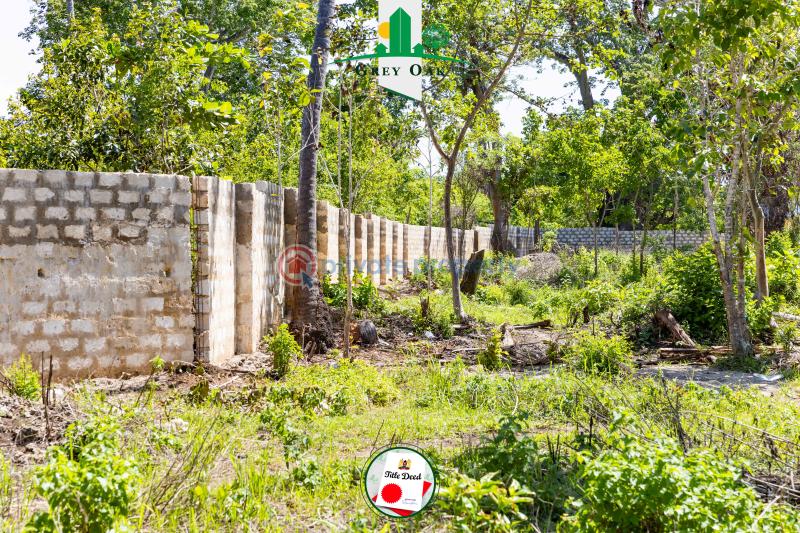 Residential Land For Sale Beach Road Kinondo Kwale - 5