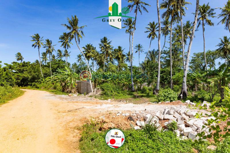 Residential Land For Sale Beach Road Kinondo Kwale - 10