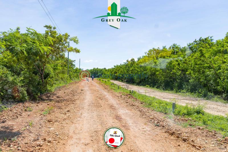 Residential Land For Sale Beach Road Kinondo Kwale - 1