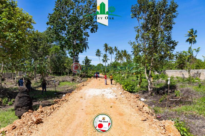 Residential Land For Sale Beach Road Kinondo Kwale - 15
