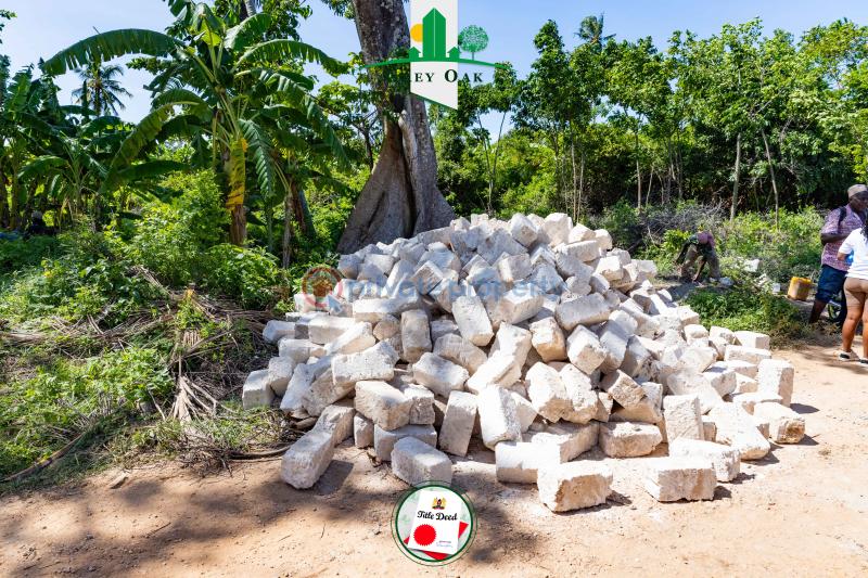Residential Land For Sale Beach Road Kinondo Kwale - 9