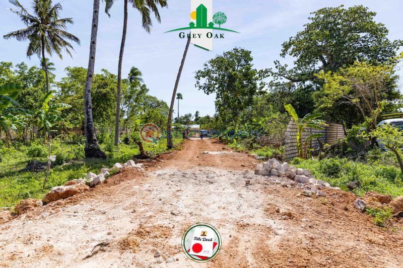 Residential Land For Sale Beach Road Kinondo Kwale - 11