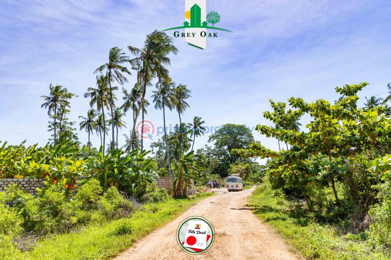 Residential Land For Sale Beach Road Kinondo Kwale - 2