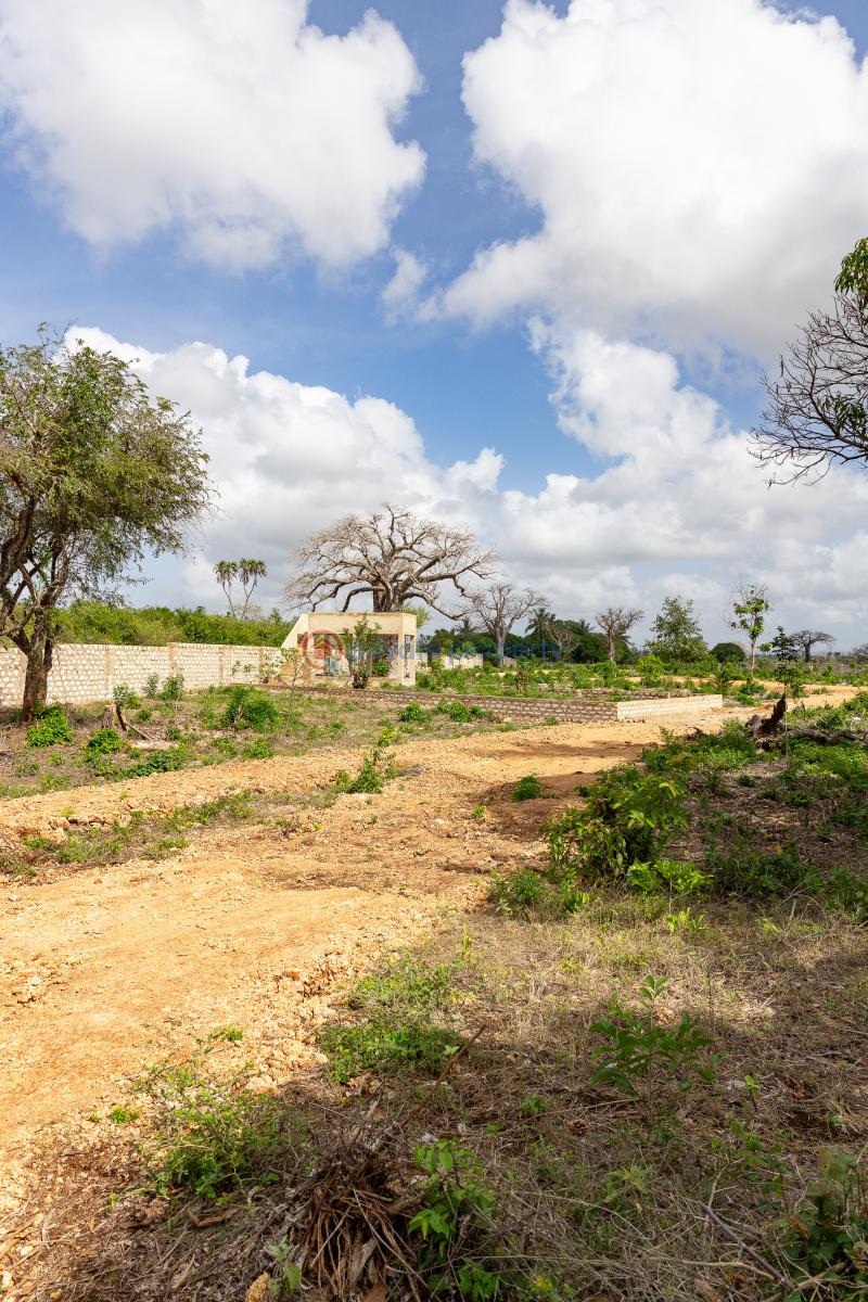 Residential Land For Sale Beach Road Kinondo Kwale - 17