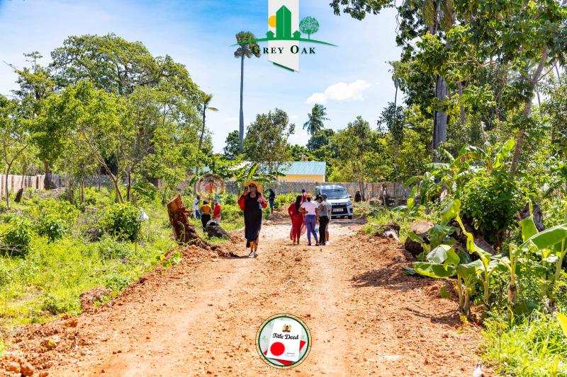 Residential Land For Sale Beach Road Kinondo Kwale - 4