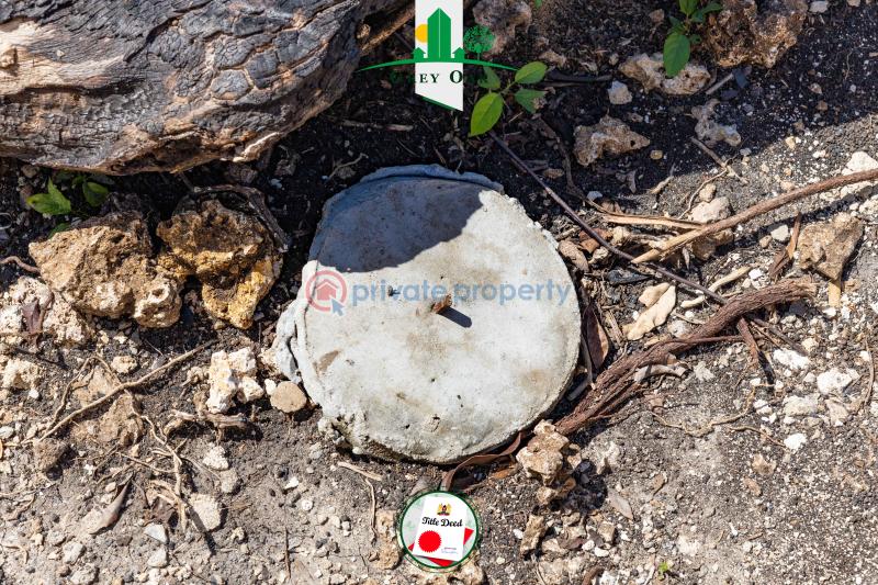 Residential Land For Sale Beach Road Kinondo Kwale - 6